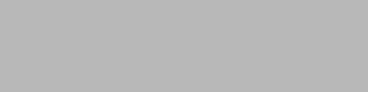 banner banner